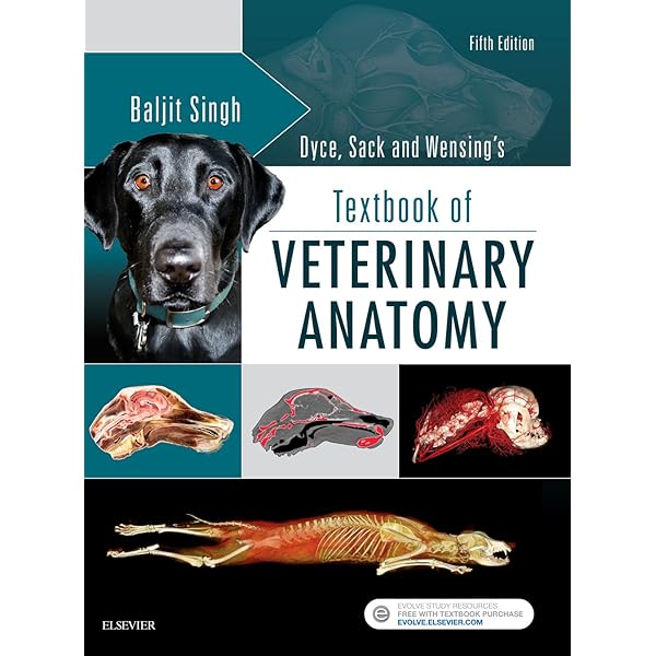 Veterinary Anatomy of Domestic Animals: Textbook and Colour Atlas